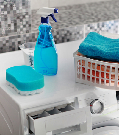 <h2>Detergents & Cleaning Aids</h2>